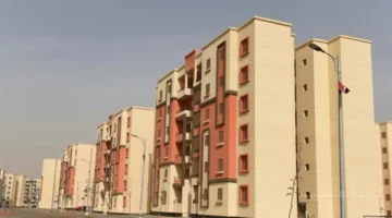 برقمك القومي.. استعلم الآن عن نتيجة شقق الإسكان الاجتماعي 2025 1